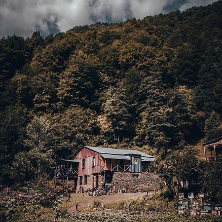 Korsha Guesthouse Roshka エクステリア 写真