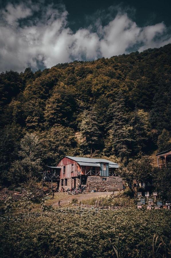 Korsha Guesthouse Roshka エクステリア 写真