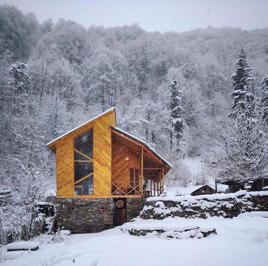 Korsha Guesthouse Roshka エクステリア 写真
