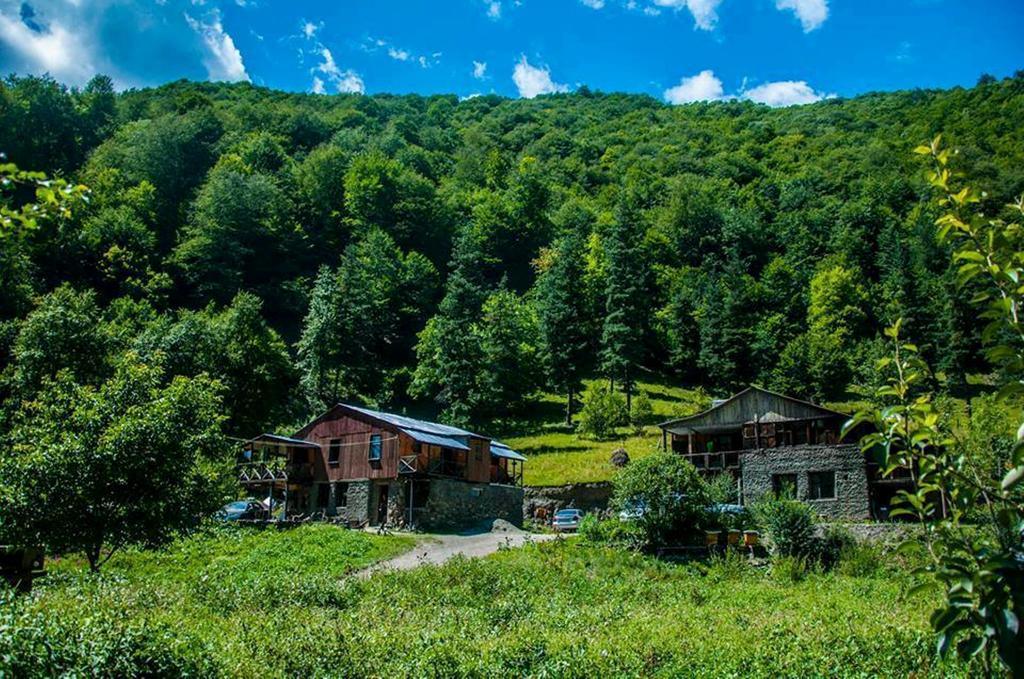 Korsha Guesthouse Roshka エクステリア 写真